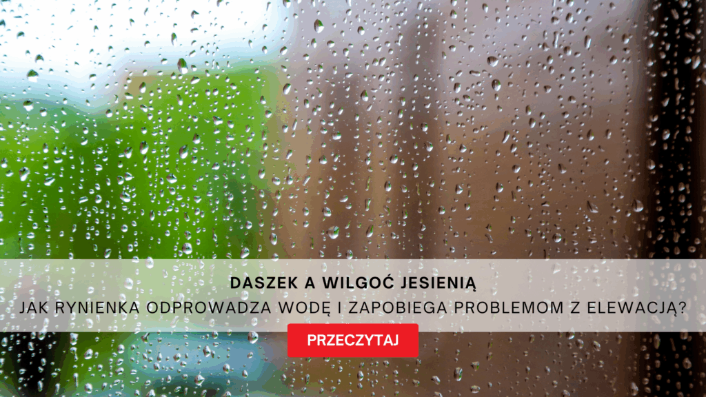 Daszek a wilgoć jesienią – Arctom