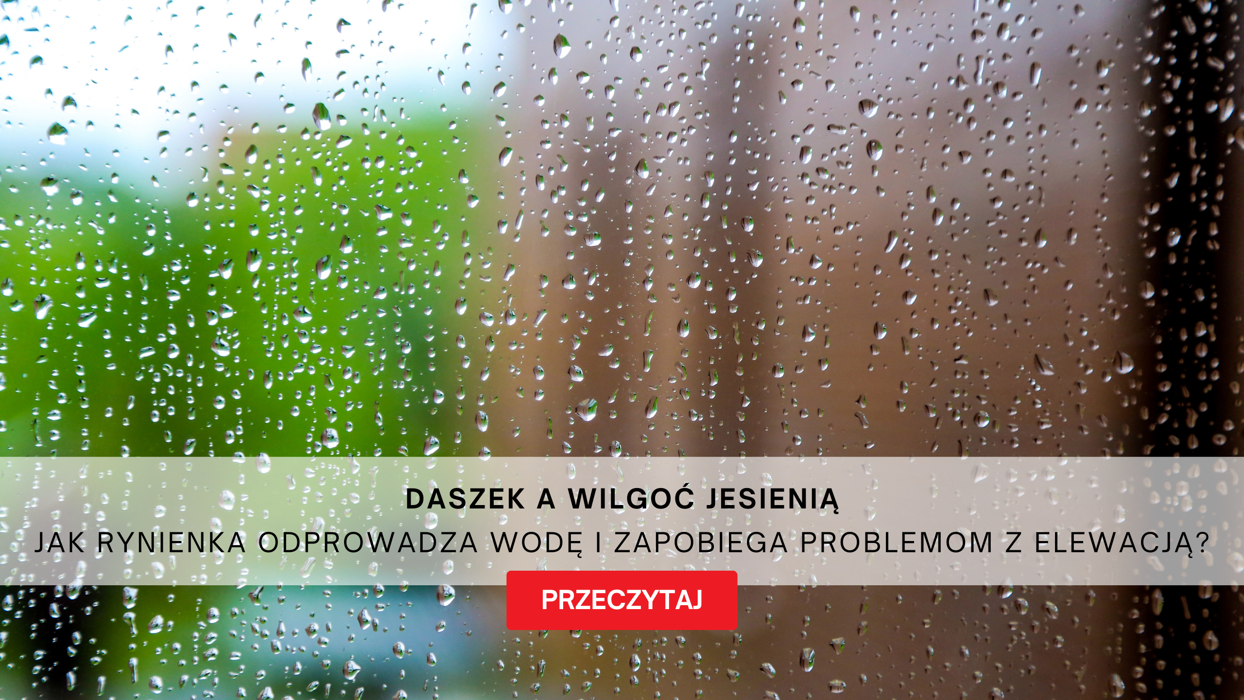Daszek a wilgoć jesienią – Arctom