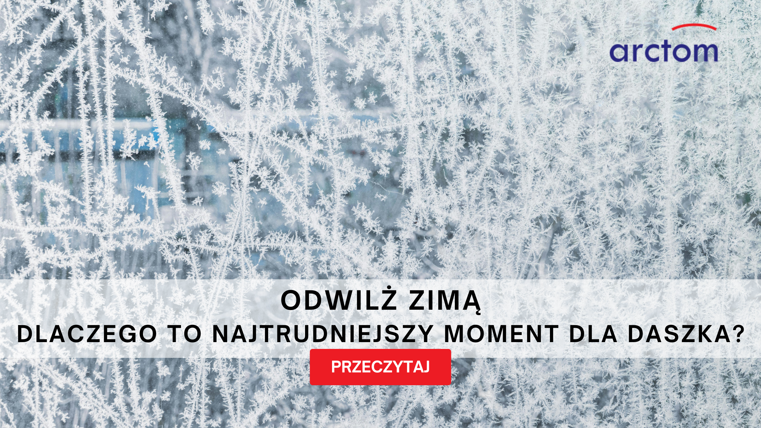 odwilż zimą a daszek nad drzwi – Arctom